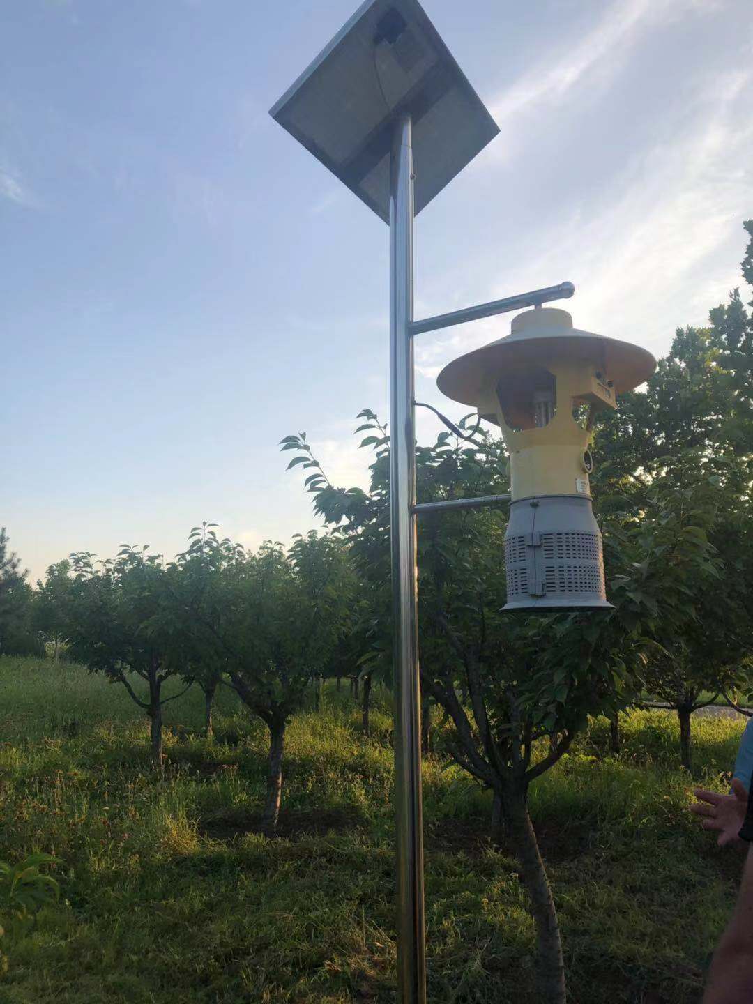 CA88风吸式太阳能杀虫灯在邹平市黛溪湖的应用